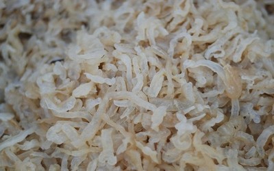 【專業供應海鮮干貨海蜇絲(廠家直銷 批零兼可,歡迎來電咨詢)】價格,廠家,圖片,鮮活/冷凍水產,連云港大橋海產品銷售-